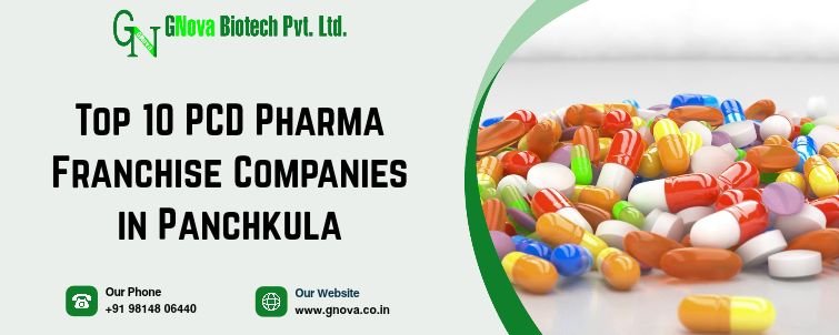 Top 10 Pcd Pharma Franchise Companies In Panchkula