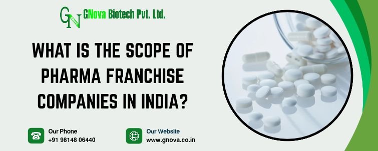 What Is The Scope Of Pharma Franchise Companies In India
